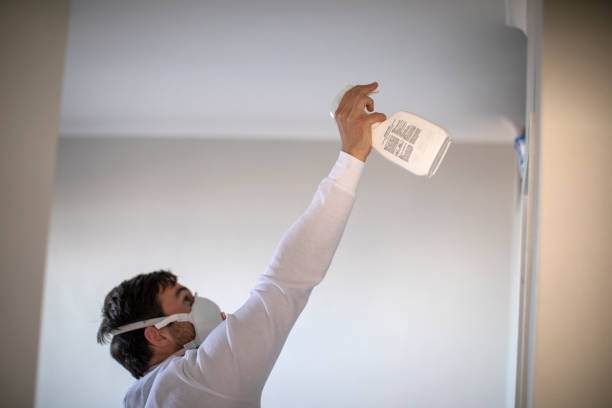 Best Mold Testing and Inspection Services in Central Gardens, TX