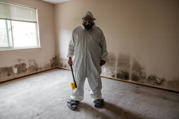 Best Crawl Space Mold Remediation in Central Gardens, TX